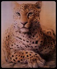 Mmmm, this one is huge