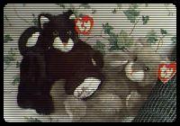 These two sure are not pussies.