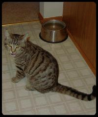 A cute pussy with a cute tongue.