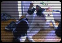 Look what I can lick. 