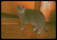 Sometimes I wish someone else could take care of my pussy...