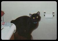 Uh oh! Looks like she knows about the hidden cam.