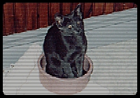 Some like to sit in their own 'juice'