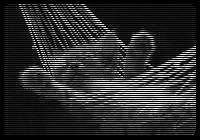 A trapped pussy.. unable to escape the Master.