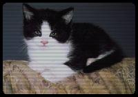 The younger the better, right?!