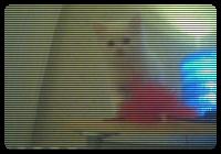 What is she doing there?.