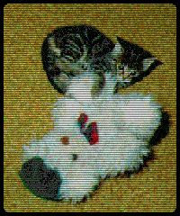 A small pussy with a HUGE toy..