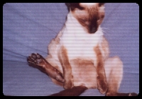 Look what she is playing with!